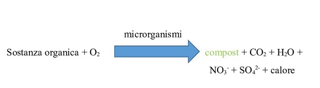 microrganismi-3